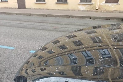 В Петербурге выпал град