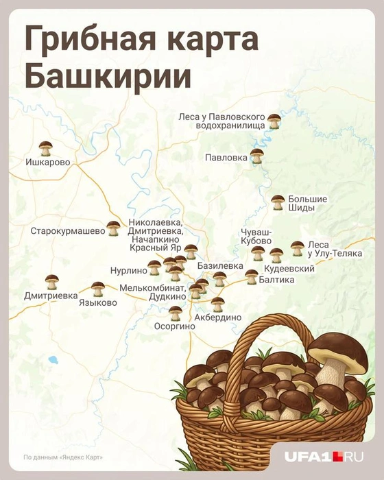 Карта грибных мест по Башкирии (ближе к Уфе) | Источник: Евгения Бикунова / Городские порталы
