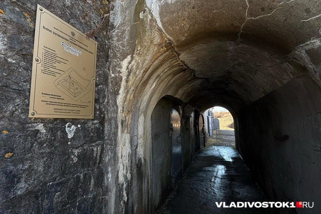Источник: Елена Буйвол / VLADIVOSTOK1.RU