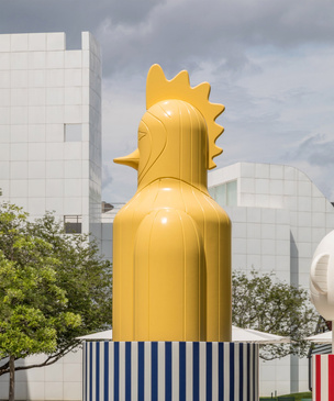 Инсталляция Хайме Айона в Художественном Музее Атланты