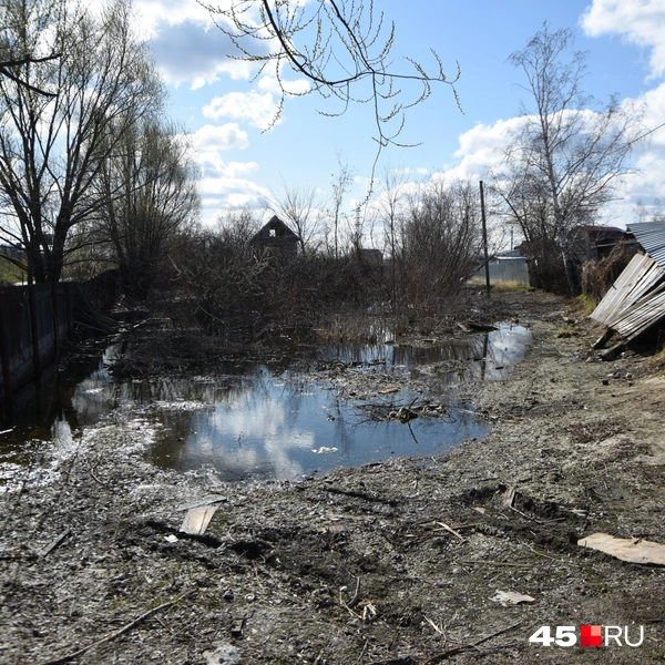 Вода стоит с прошлого года | Источник: Надежда Тихомирова