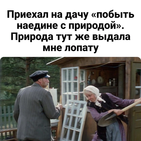 Вы тоже едете на дачу отдыхать, а потом вас находят на грядках?  | Источник: «Любовь и голуби» (12+), 1984 г., режиссер: Владимир Меньшов