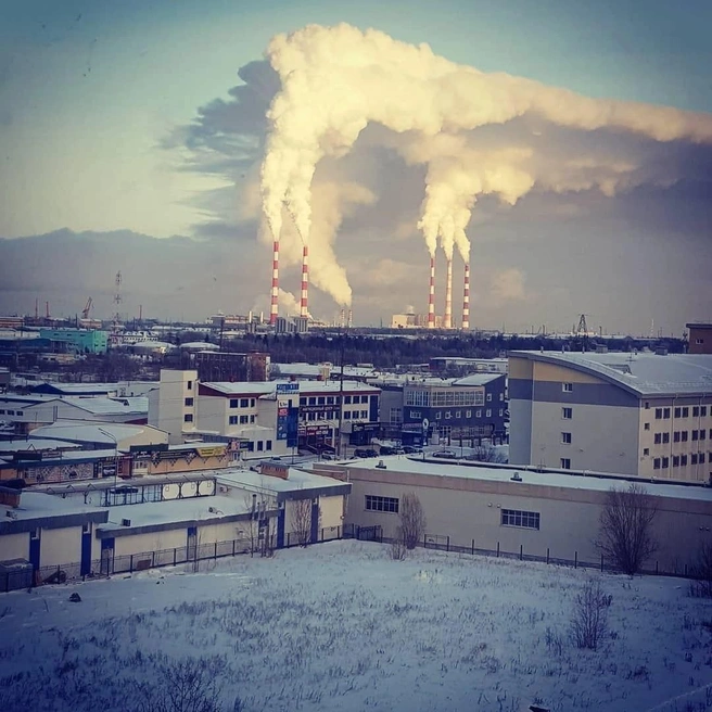 Одна из основных причин переезда — желание сменить климат. В Тюмени сургутянку очень впечатлили цветущие деревья по всему городу. На севере у нее был такой вид | Источник: Любовь Попова