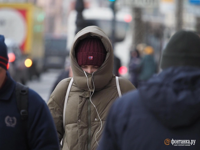 Сохраните памятку, чтобы не потерять | Источник: Михаил Огнев / FONTANKA.RU