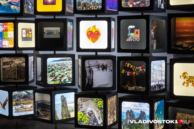 Источник: Елена Буйвол / VLADIVOSTOK1.RU