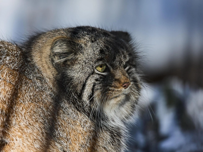 Начало выходных будет тёплым, после чего последует резкое похолодание. | Источник: Изображение: Александр Ощепков для NGS.RU