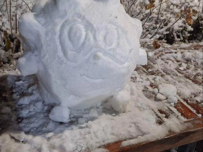 Это, вероятно, ежик из «Смешариков». | Источник: читатель E1.RU