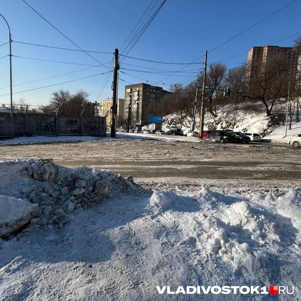 Источник: Елена Буйвол / VLADIVOSTOK1.RU