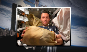 Зачем на МКС «поросята»: рассказывает космонавт Константин Борисов