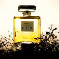 Химия аромата: из каких компонентов состоит Chanel №5