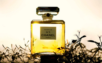 Химия аромата: из каких компонентов состоит Chanel №5