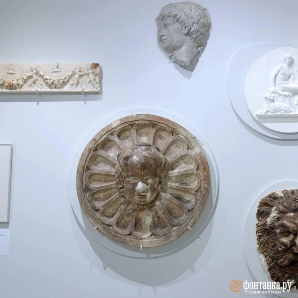 Источник: Дарья Драй / «Фонтанка.ру»