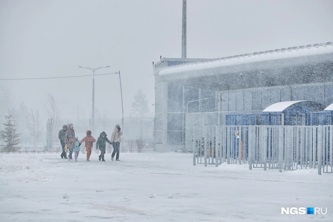 В Новосибирске выпало так много снега, словно сейчас зима | Источник: Александр Ощепков / NGS.RU