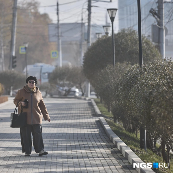 Горожанам остается терпеть и ждать осадков | Источник: Александр Ощепков / NGS.RU