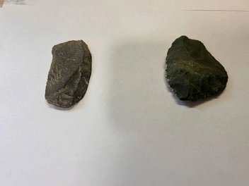 И еще парочка | Источник: ГрадВестник / Telegram