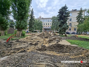 Источник: Алёна Воропаева / Voronezh1.ru