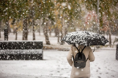 Перепад температур в 20 градусов ждет Алтайский край перед Новым годом