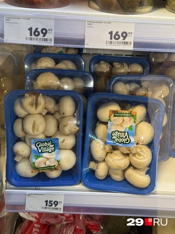 Источник: Валерия Богатырёва / 29.RU