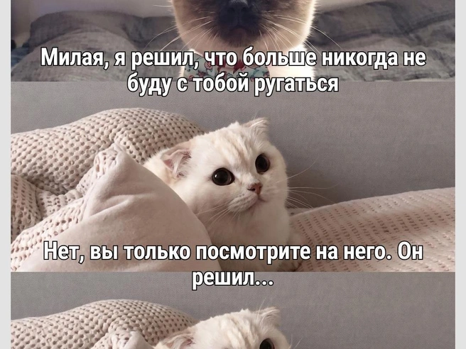 Мог бы и догадаться! | Источник: Городские медиа