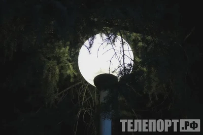 Житель Свердловской области разбил фонарь, впечатляя девушку