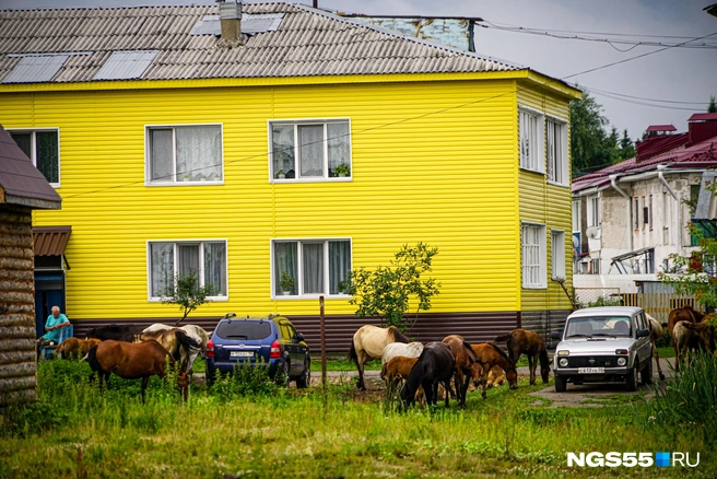 Покосом травы занимаются специалисты | Источник: Тамара Башаева / NGS55.RU