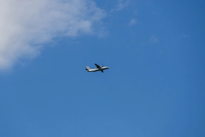 Прямые рейсы Нижний Новгород — Белград: почему билеты покупать рано