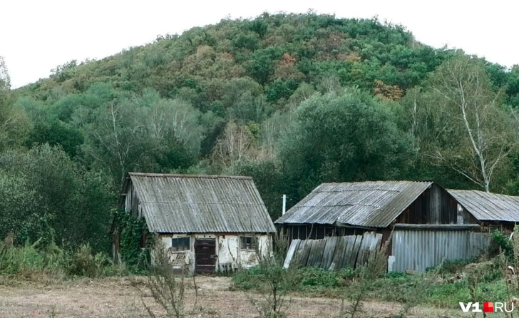 Источник: Илья Воробушкин / V1.RU