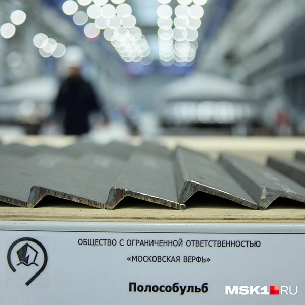 Источник: Дмитрий Толстошеев / MSK1.RU