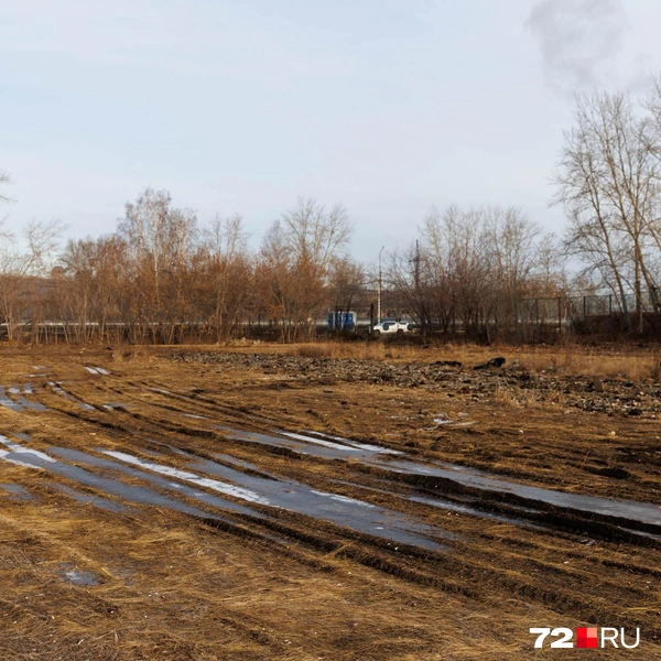 Источник: Ирина Шарова / 72.RU