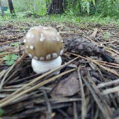 Действует зеленый уровень опасности на водоемах, местами сохраняется высокая пожароопасность | Источник: www.city-n.ru