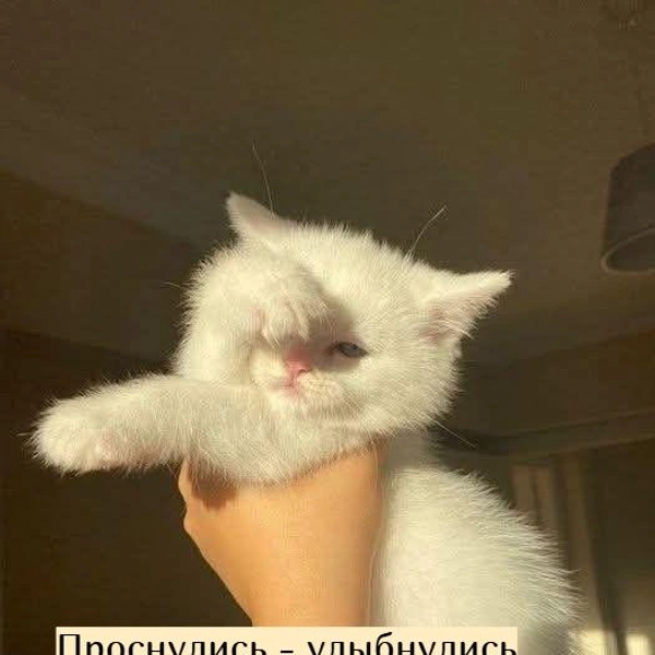 Источник: Социальные сети