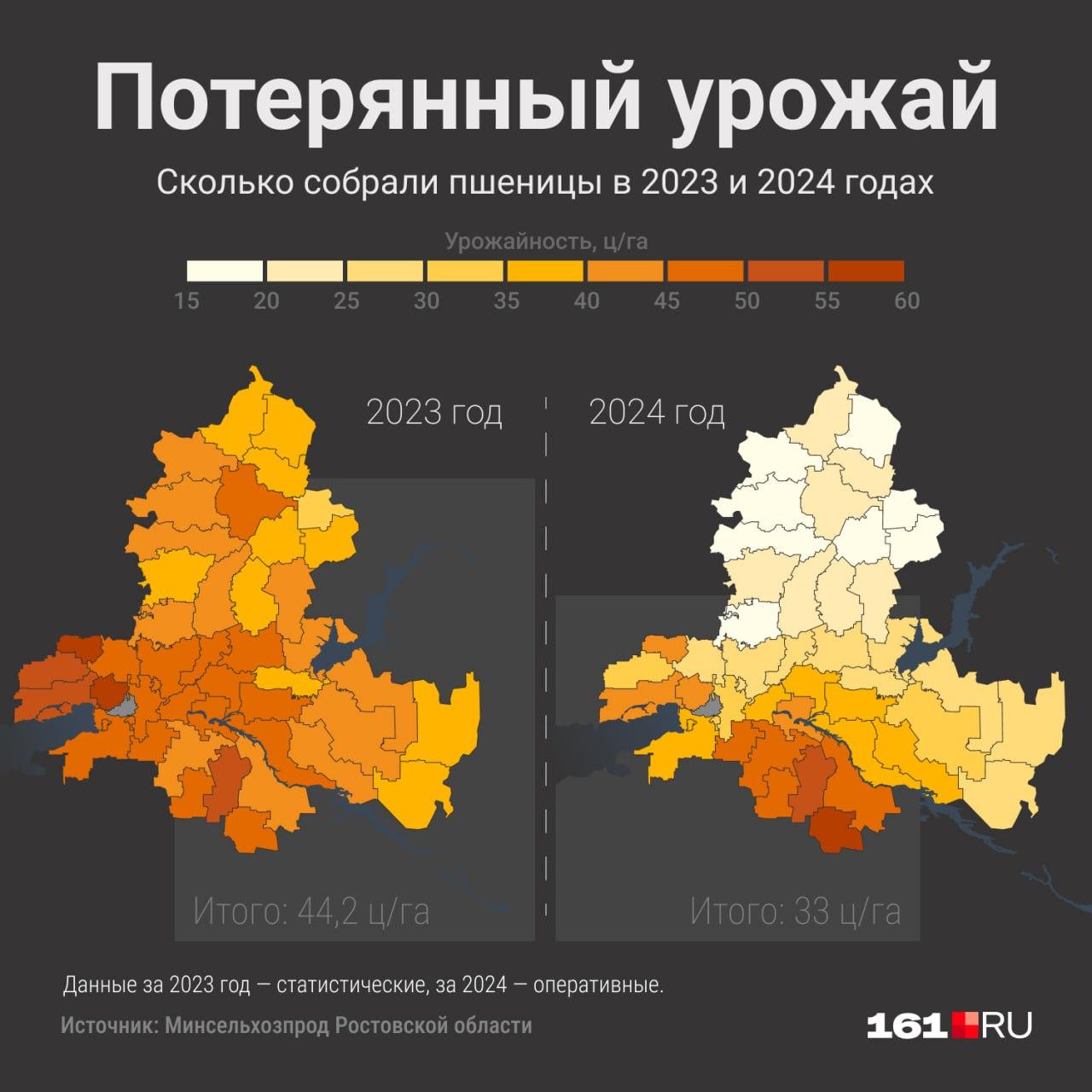 «Этот год будет очень тяжелым, везде плохо»: засуха уничтожает урожай на донских полях второй год подряд