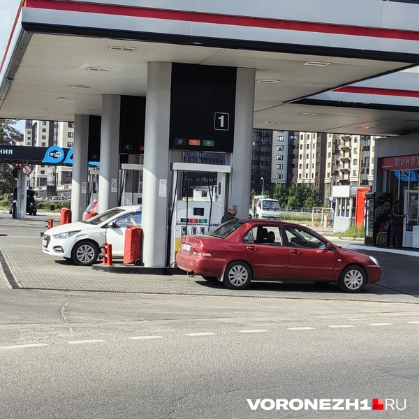 Источник: Андрей Пашинский / Voronezh1.ru