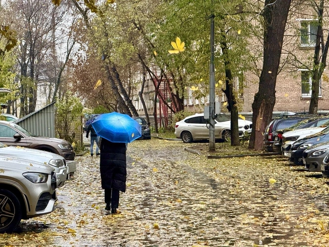 А здесь на переднем плане можно увидеть падающий листок | Источник: Артем Устюжанин / MSK1.RU