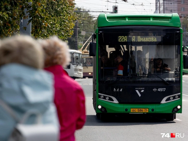 Источник: Наталья Лапцевич / 74.RU