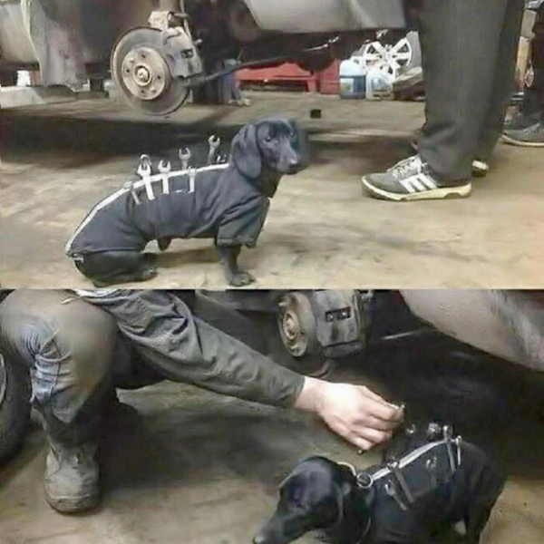 Источник: соцсети