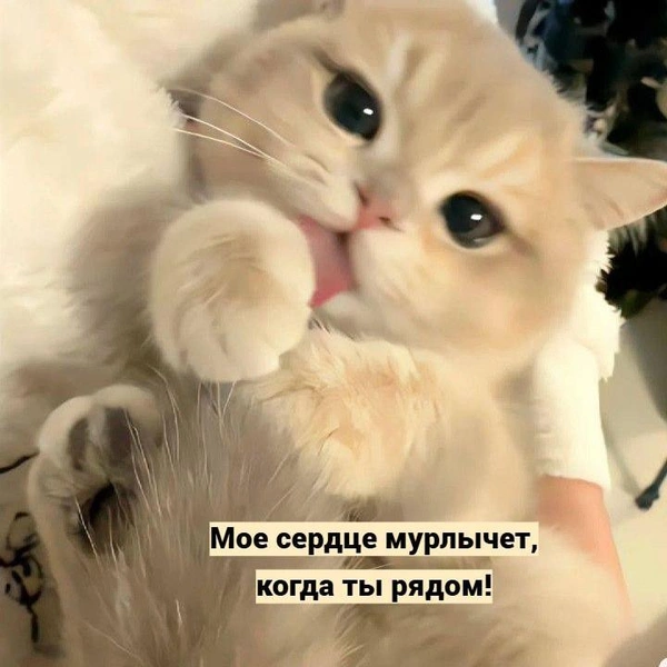 Источник: Социальные сети