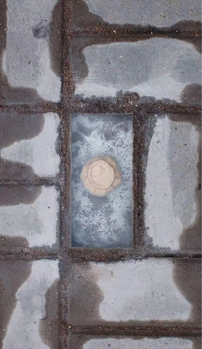 Элеш находится на Островского | Источник: алешаааа / T.me