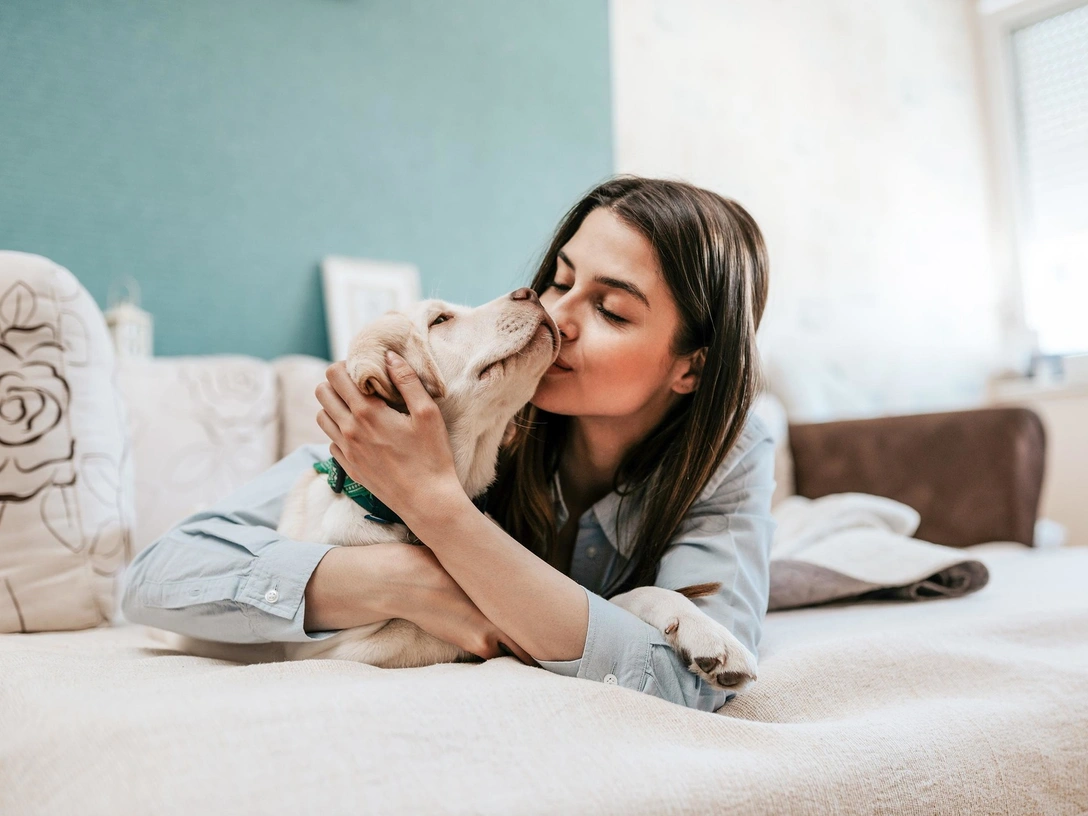 Любовь в один клик: что такое pet-дейтинг, и как он поможет найти идеального питомца | marieclaire.ru