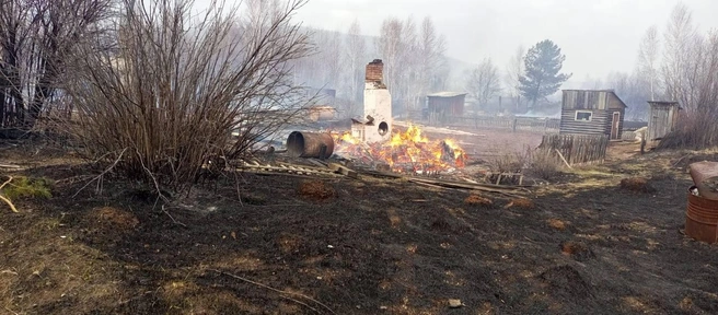 Огонь быстро перешел с травы на дома | Источник: Николай Дружинин / t.me