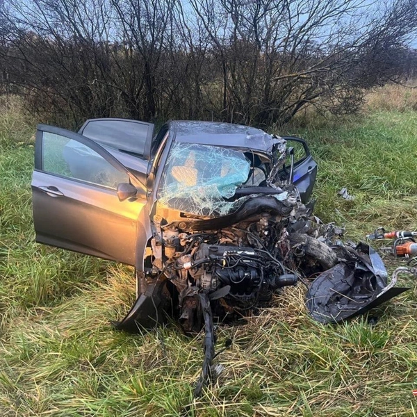 Источник: ГУ МВД по Петербургу и Ленобласти