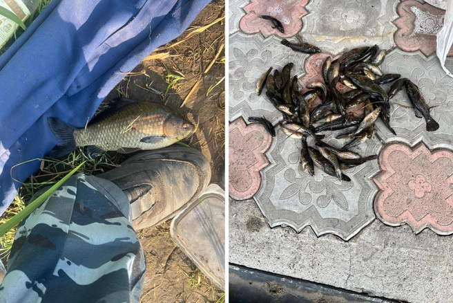 Рыбное место находится близко к городу | Источник: Роман Ерощенко / «Рыбалка Омск»