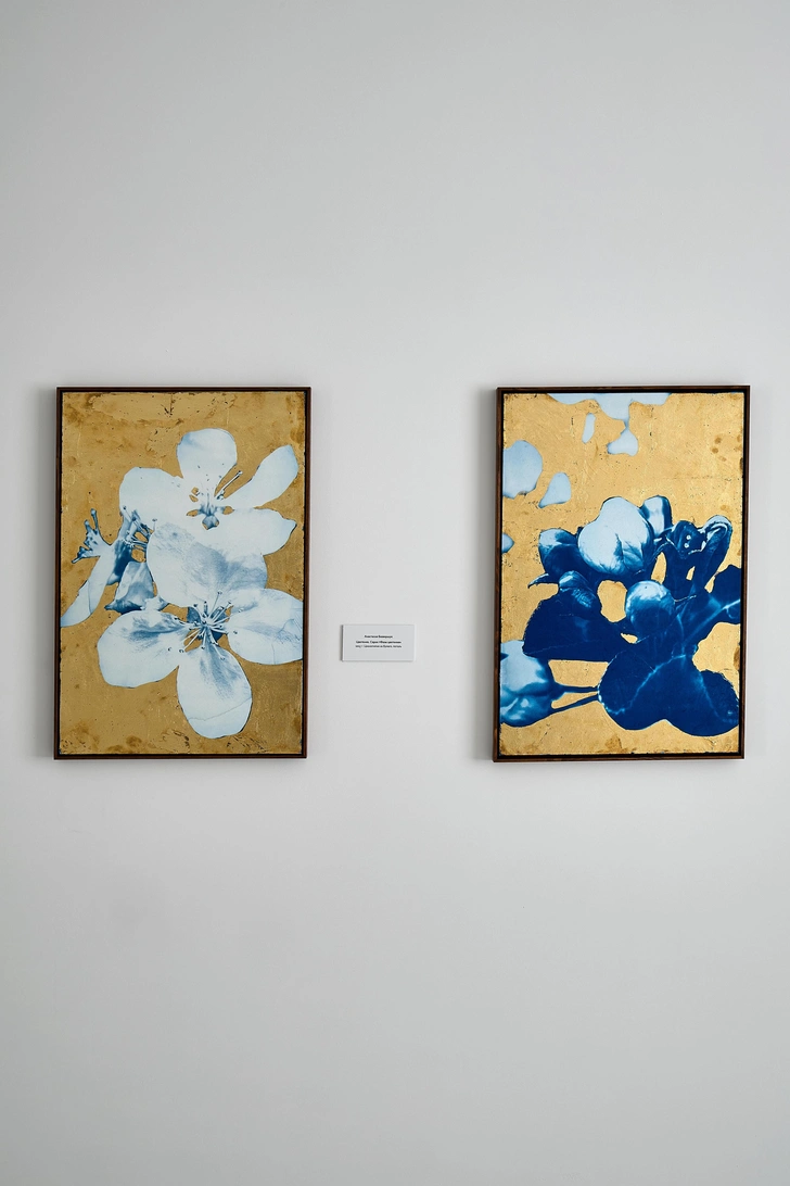 Источник: пресс-служба галереи