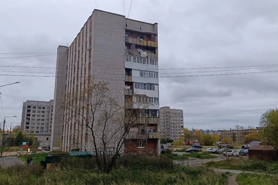 В Архангельске собака упала с шестого этажа