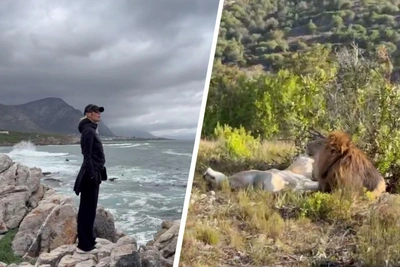 Elena Letuchaya Disappointed by Safari in South Africa