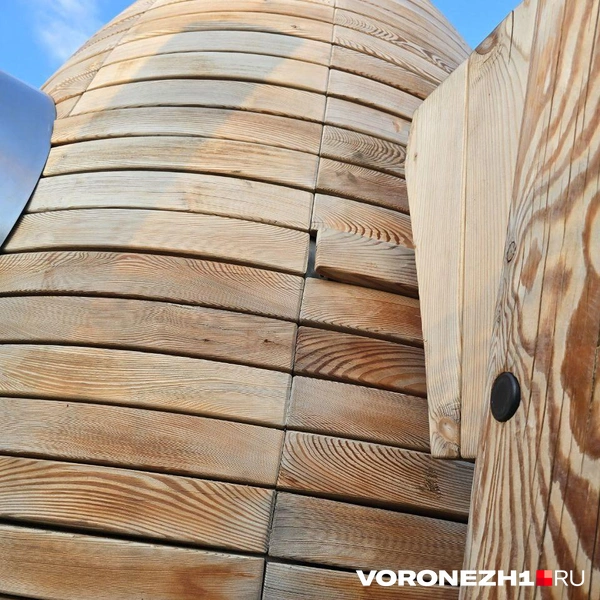 Источник: Ирина Булгакова \ Voronezh1.ru