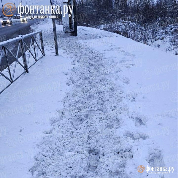 Источник: читатель «Фонтанки»