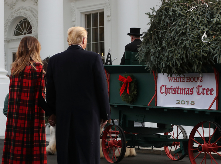 В дом Дональда и Мелании Трамп пришло Рождество (и семейная идиллия)