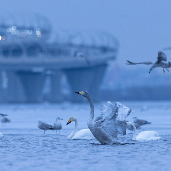 Источник: Автор: Катя Стрельникова (@catephoto) / @astrophotoboloto 