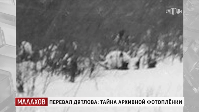 Источник: кадр из программы «Малахов» (16+), «Россия 1», 2025 год